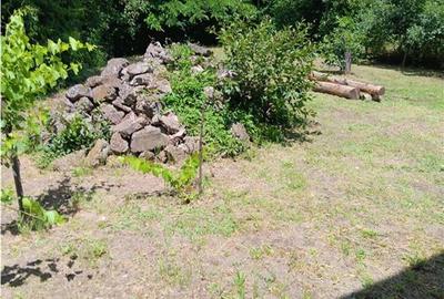 Copou Vila P+M Su.165mp Teren 1000mp vecin cu limita Gradina Botanica - 2