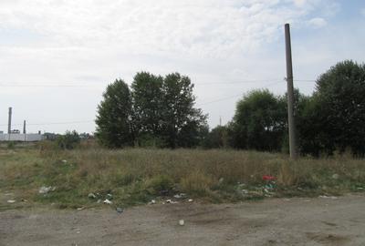 Teren Construcții extravilan de 8775 mp, în Exterior Nord - 21
