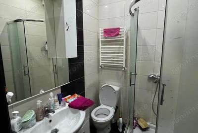 Apartament cu o camera de vanzare Sagului - 3