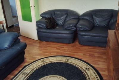 Apartament cu 4 camere decomandat în Ostroveni - 9