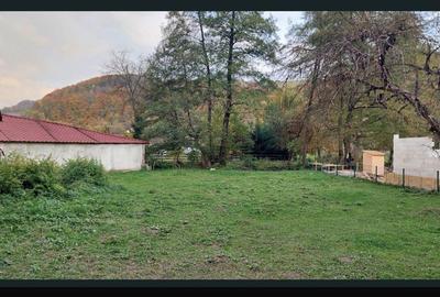 Casă cu 2 camere în Bratca - 3