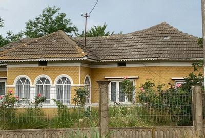 Casă cu Teren 2500 Mp în Luica - 5