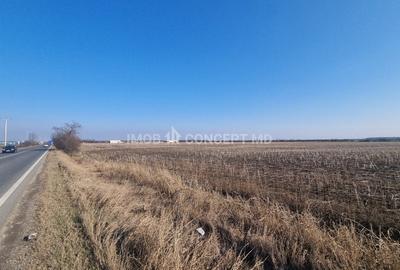 Vanzare Teren Extravilan 11000 mp, in Aricestii Rahtivani, Jud Prahova - 5