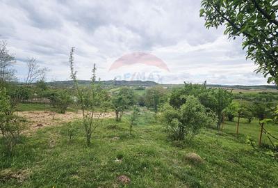 Teren Construcții intravilan de 5350 mp, în Dobreni - 16