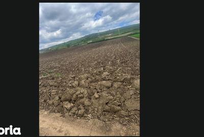 Teren de 6200 mp, în Gușterița