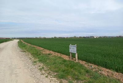 Spațiu comercial, în Lupăria - 6