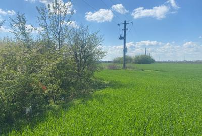 Teren Construcții intravilan de 5808 mp, în Săbăreni - 19