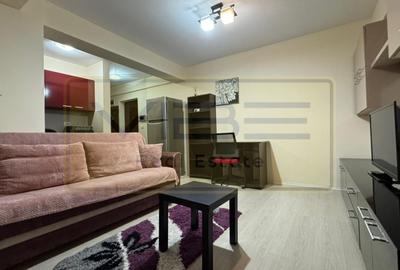 Apartament cu 2 camere semidecomandat, mobilat în Podu Roș - 16