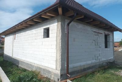 Casă cu 3 camere în Daia Română - 5