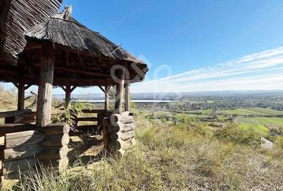 Casă cu Teren 2046 Mp în Tileagd - 20