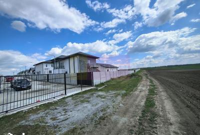 Teren de 3000 mp, în Cernica - 13