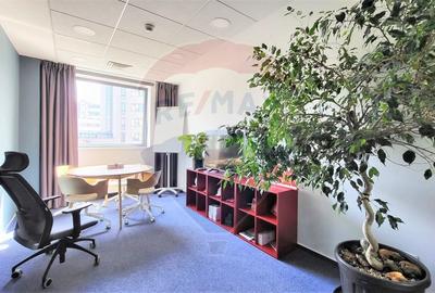 Birou, de 220 mp, în Mărăști - 16