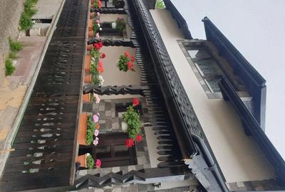Casă în Beliș - 10