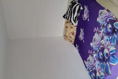 Camere de inchiriat - 2