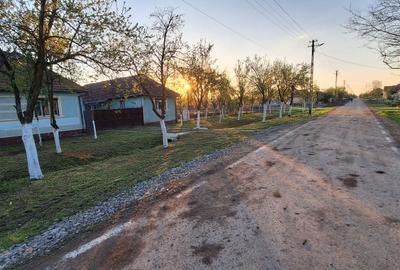 Casă cu 4 camere în Berechiu - 4