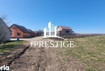 Teren de 417 mp, în Câineni - 3