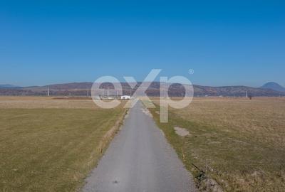 Teren 11.600 mp – Rasnov, zona Tabara, 230 m de DN 73 - 4