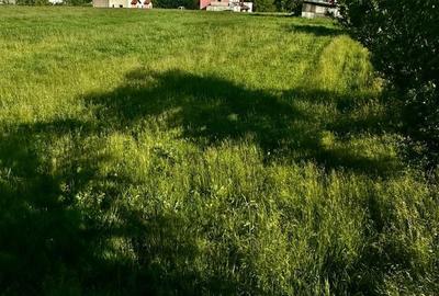 Spațiu comercial, în Balotești