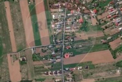 Vanzare teren Snagov - Izvorani, Strada Gradinarilor - 11