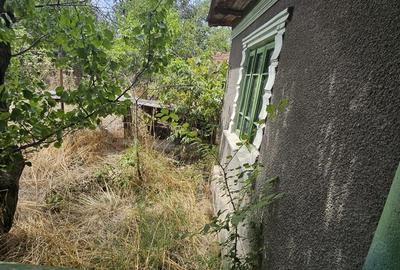 Casă cu 6 camere în Deparați - 11