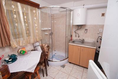 Apartament cu 2 camere semidecomandat în Sinaia - 5