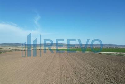 Teren de vanzare, Com. Nicolae Balcescu, Jud. Bacau - 7