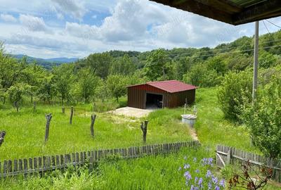 Casa com. Stroesti Valcea teren 3300mp - 1