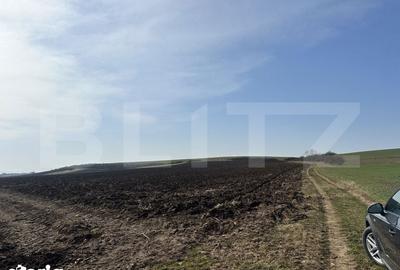 Teren de 15000 mp, în Sântuhalm