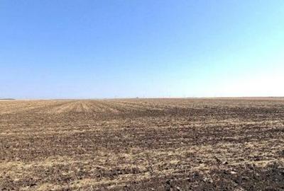 Teren extravilan Putineiu, ID: R2718957 - 13