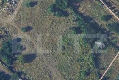 Teren intravilan 7,3 ari, zona Viisoara - 4