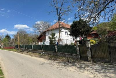 Casă cu 4 camere cu Teren 4000 Mp în Valea Popii (Mihăești) - 3