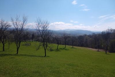 Teren de 17264 mp, în Pietroasa - 3