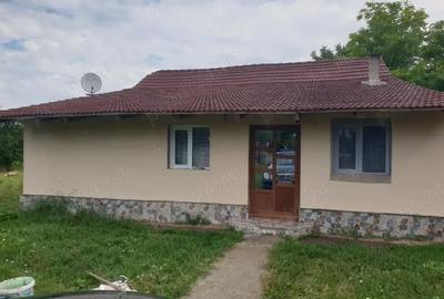 Casă cu Teren 2050 Mp în Central - 5