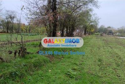 Teren Construcții intravilan de 3000 mp, în Petrești - 5