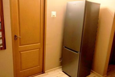 Apartament cu 2 camere decomandat în Craiovița Nouă