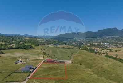 Teren Construcții intravilan de 4800 mp, în Bran - 1