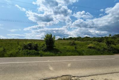 Teren 4.980 mp in Stubeiu, jud. Prahova - 6