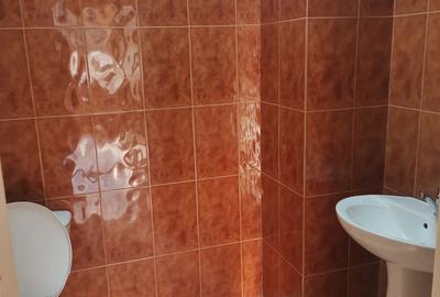 Spațiu comercial, de 260 mp, în Roman - 5