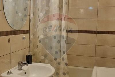 Apartament cu 2 camere decomandat, mobilat în Banu Manta - 3