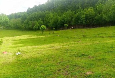 Teren de 5500 mp, în Drăganu - 4