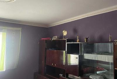 Casă cu Teren 533 Mp în Sânmihaiu Român - 3