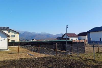 Casa 4 camere Cristian - 2