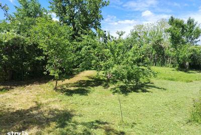 Casă cu 3 camere cu Teren 1000 Mp în Central - 2