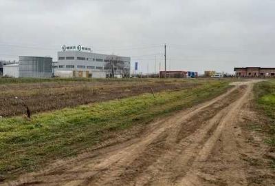 Spațiu comercial, în Dascălu - 2