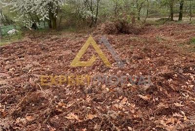 Teren de 1000 mp, în Groși - 2