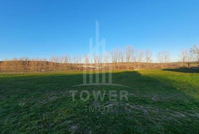 Teren agricol extravilan de 11800 mp, în Șelimbăr