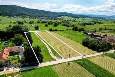 Teren Construcții intravilan de 2900 mp, în Lunca Mărcușului - 6