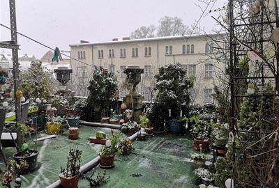 Apartament Spatios Regele Carol - 17