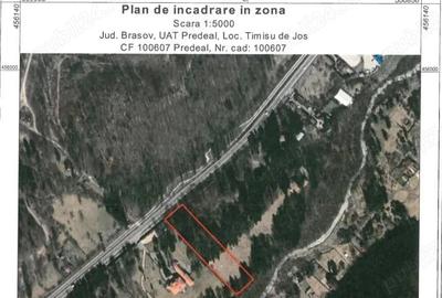 Teren de 10000 mp, în Timișu de Jos - 2