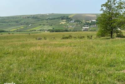 Spațiu comercial, în Iris